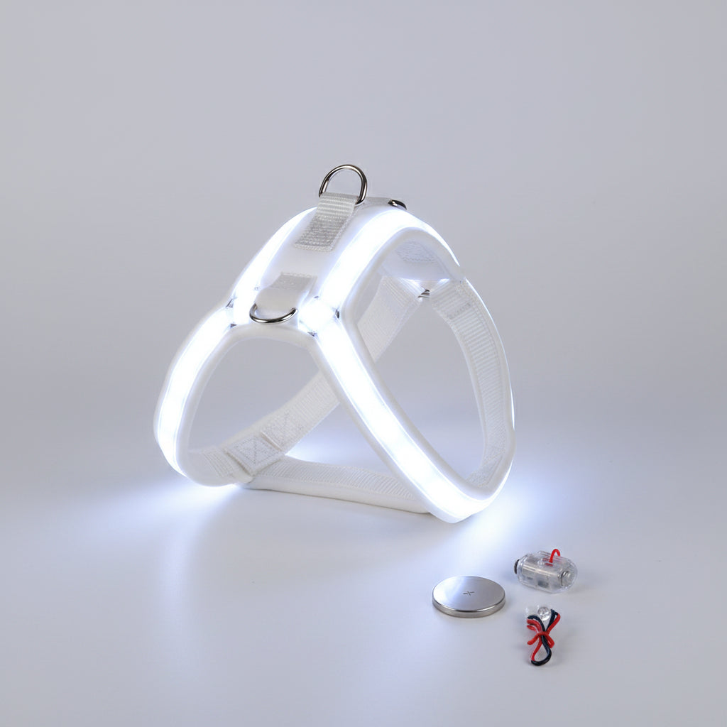 Harnais LED Réfléchissant pour Chien – Sécurité Nocturne, Lumineux et Ajustable