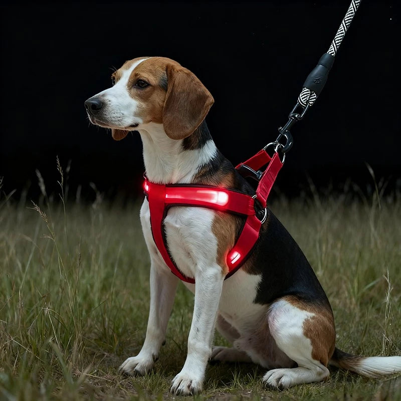 Harnais LED Réfléchissant pour Chien – Sécurité Nocturne, Lumineux et Ajustable