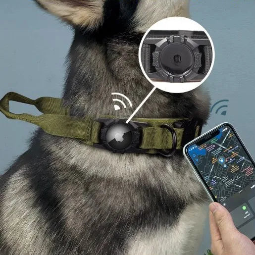 Collier Tactique Chien avec Porte-AirTag | GPS Tracker | Nylon Militaire M/L/XL