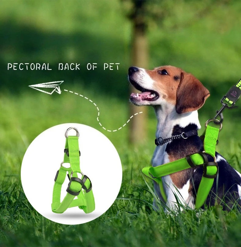 Harnais LED Réfléchissant pour Chien – Sécurité Nocturne, Lumineux et Ajustable