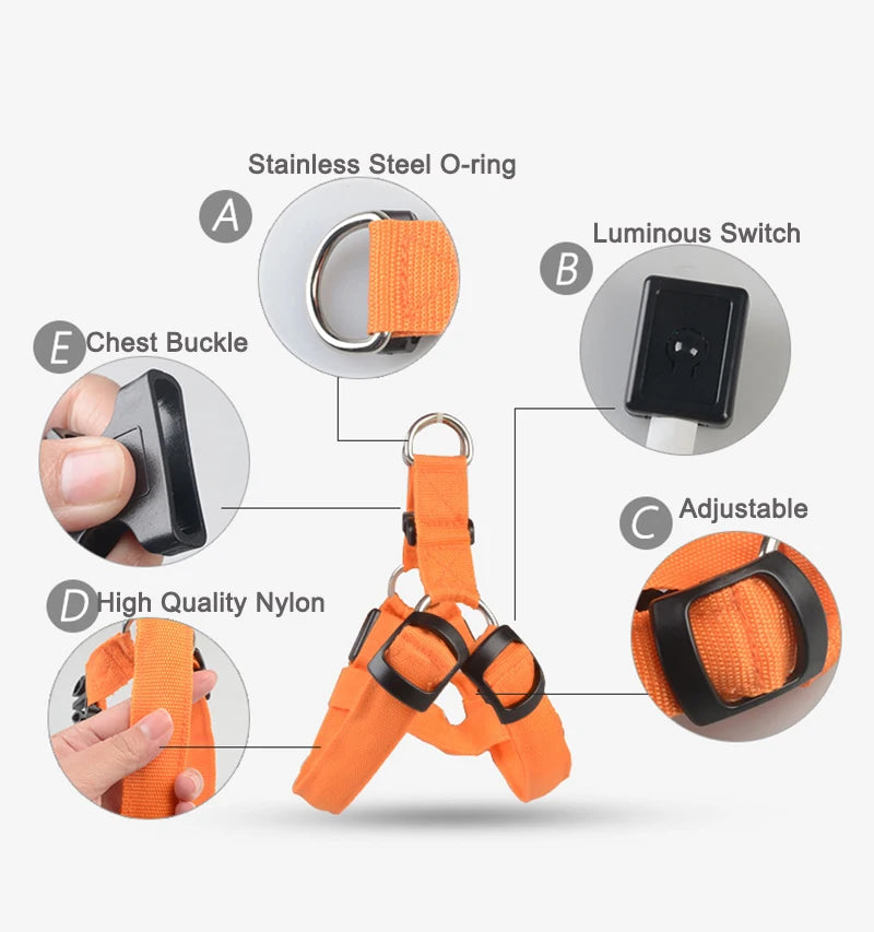 Harnais LED Réfléchissant pour Chien – Sécurité Nocturne, Lumineux et Ajustable