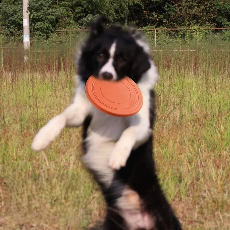 Frisbee pour Chien – Disque Volant Souple & Résistant