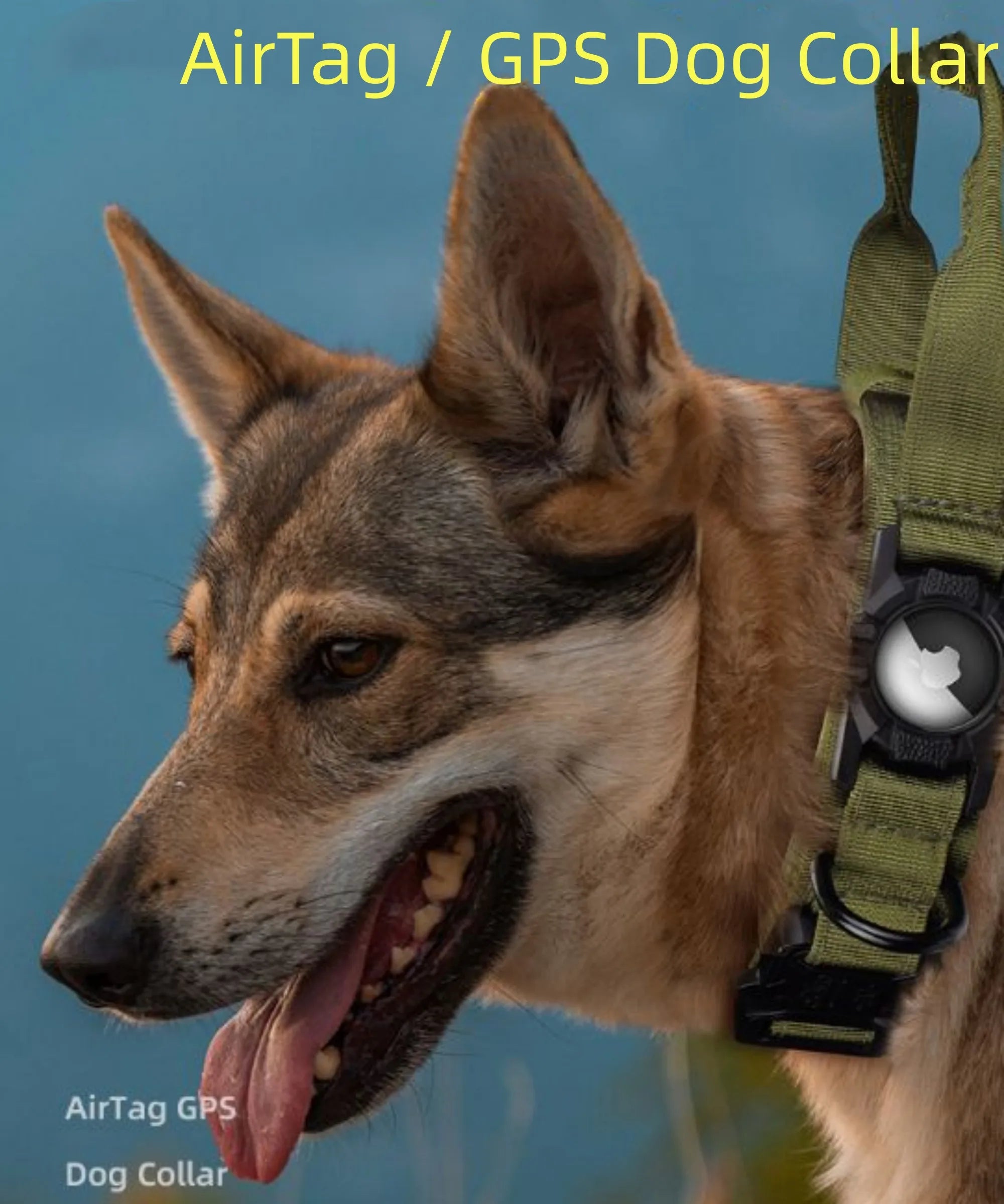 Collier Tactique Chien avec Porte-AirTag | GPS Tracker | Nylon Militaire M/L/XL