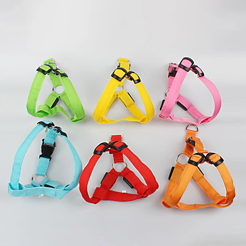Harnais LED Réfléchissant pour Chien – Sécurité Nocturne, Lumineux et Ajustable